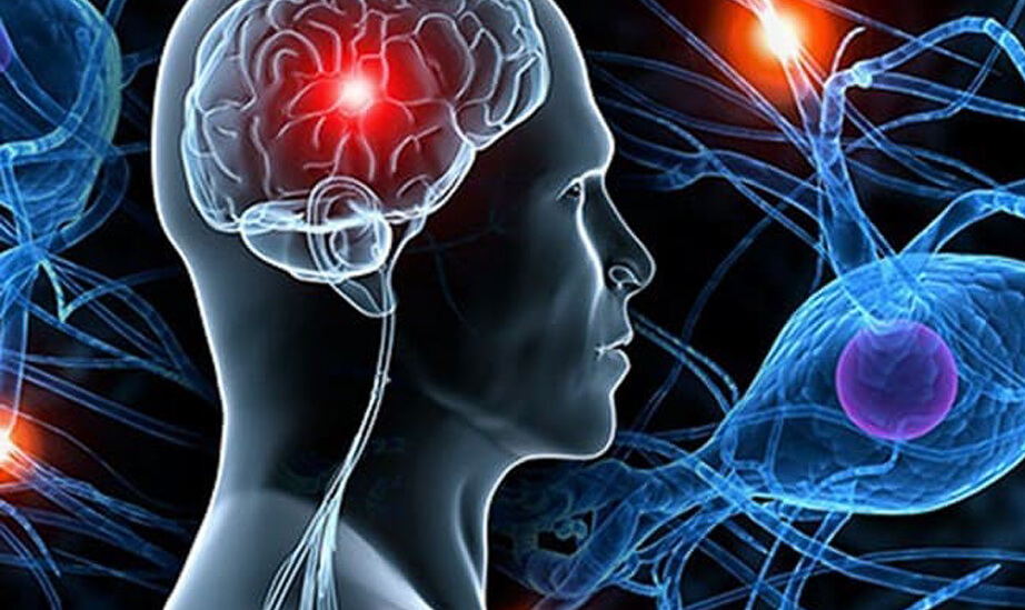 Neurologie Neurologie